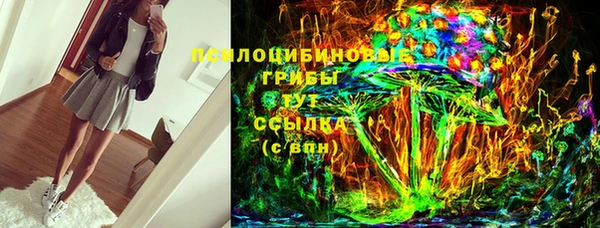 стаф Алзамай