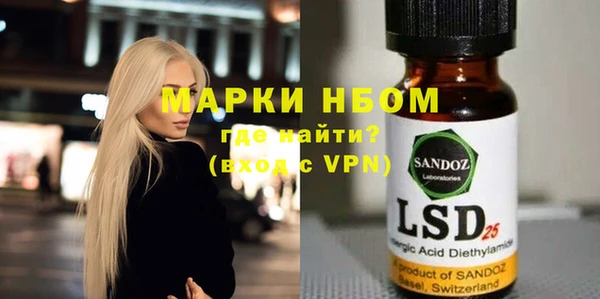 индика Нязепетровск