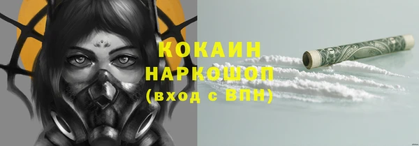 стаф Алзамай