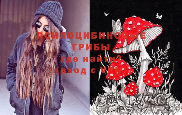 гидропоника Абдулино