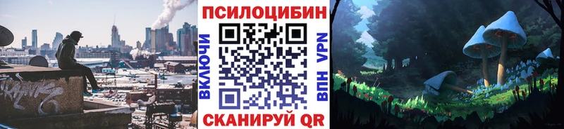 как найти закладки  Северодвинск  Псилоцибиновые грибы мухоморы 